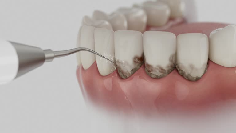 Reliable Dental contractor in Yarmouth Port, MA by Dentist Open Now